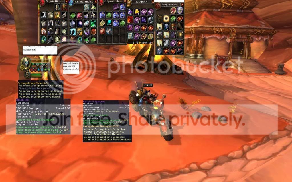 DKbagsandarmor.jpg
