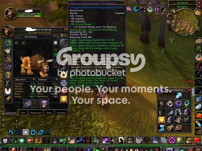 DruidPVP.jpg