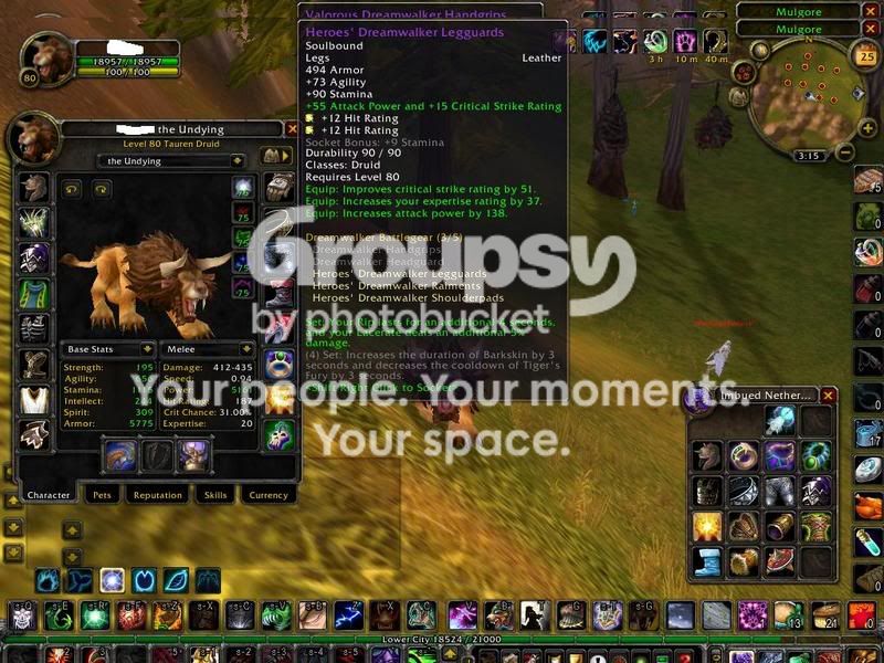 Druidcatform.jpg