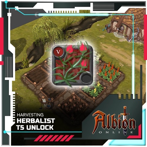 wbTTecC.jpg