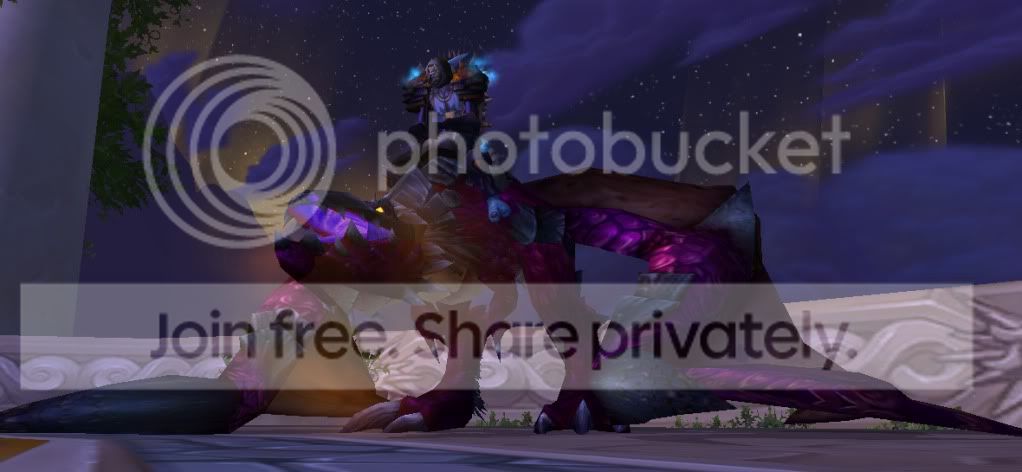 SHAMMY.jpg