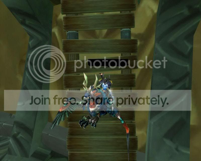 warrior3.jpg