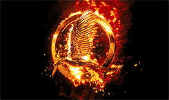 J9RsiOh.gif