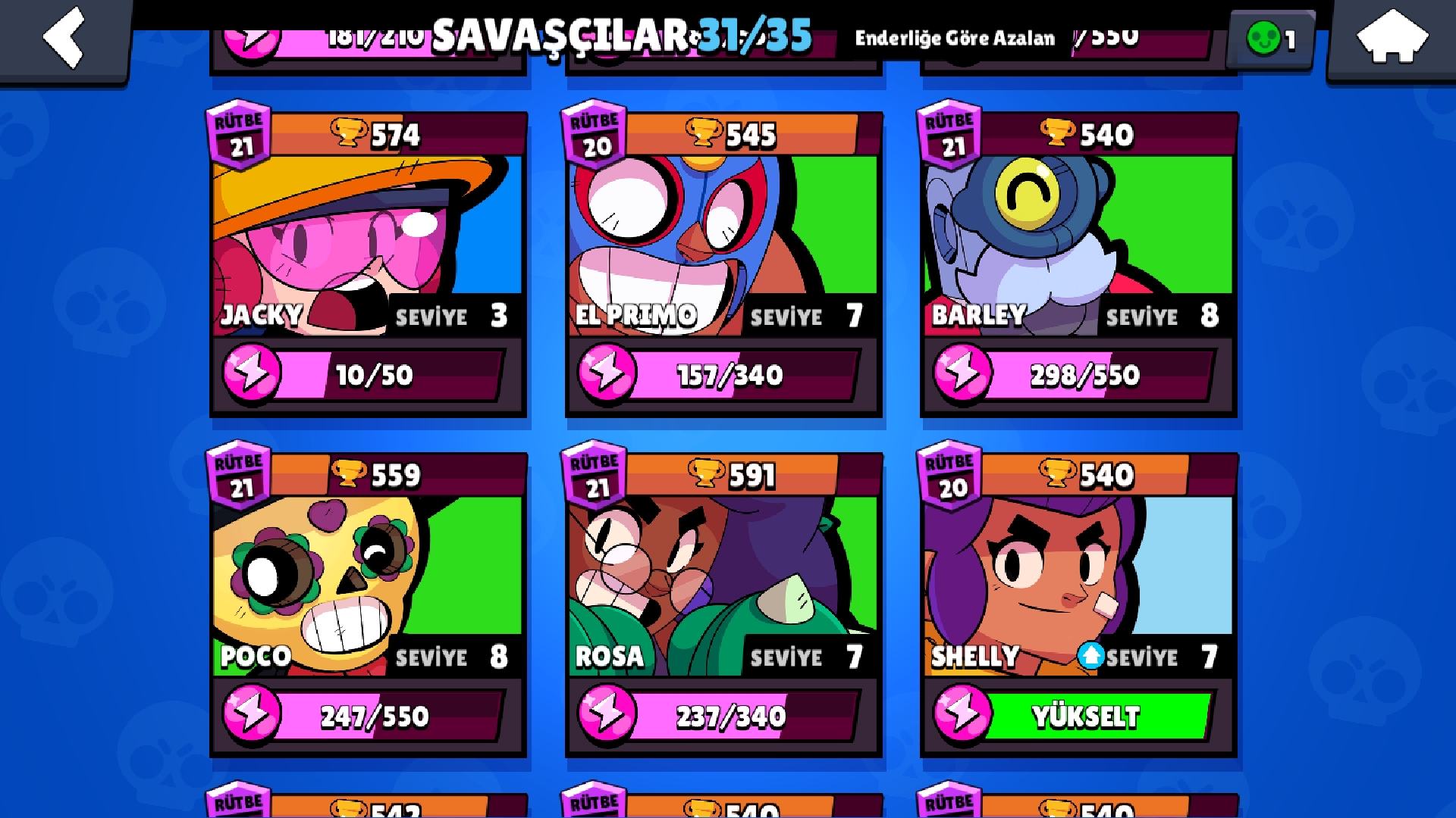 17225406.jpg