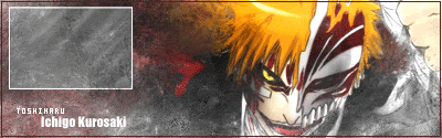 Bleach.gif