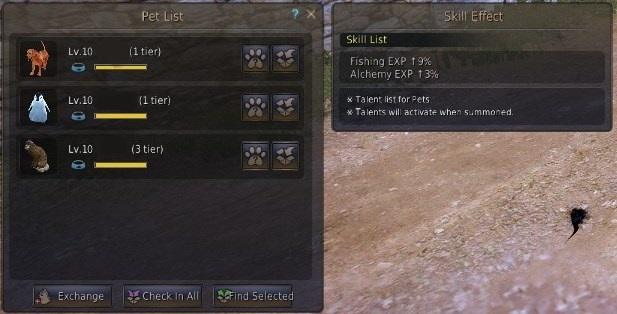 pm4yrzafmewbrpetoadv.jpg
