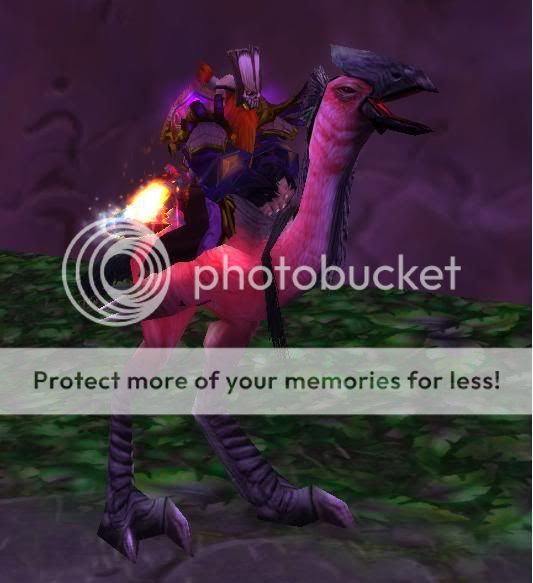 lovebird.jpg