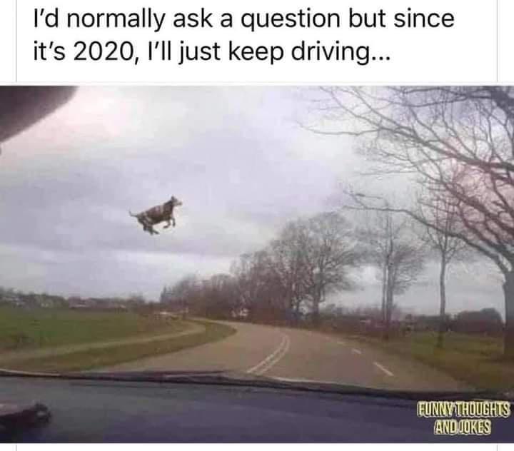 Aq24pxs.jpg