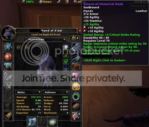 dps_gloves.jpg