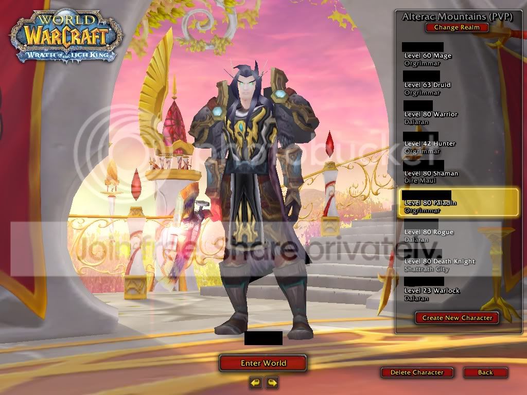 wowpaladin.jpg
