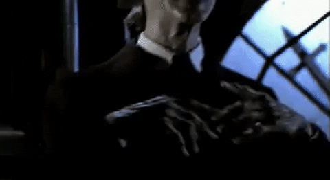 giphy.gif