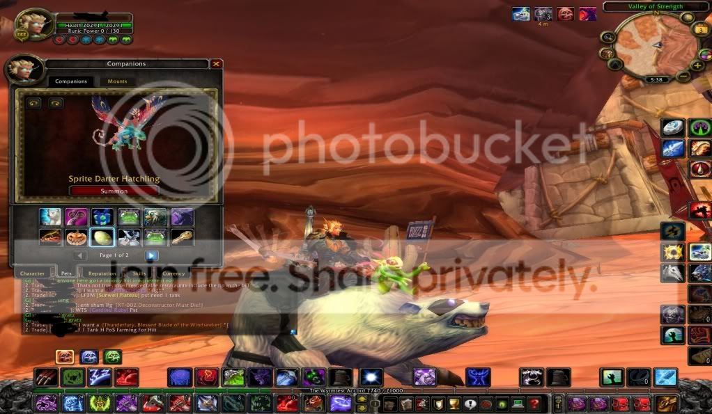 Petstab.jpg