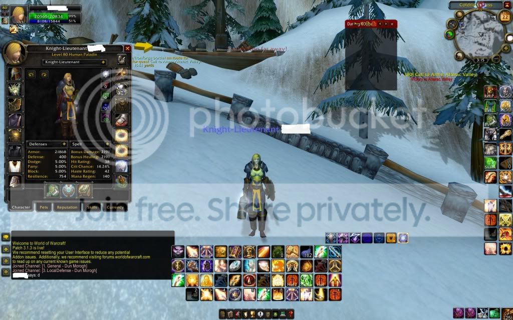 80PaladinHolyPVP2July2009.jpg