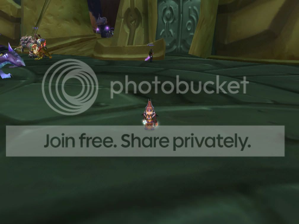 WoWScrnShot_052708_131625.jpg