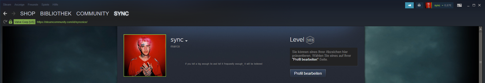 ev1gKiD.png