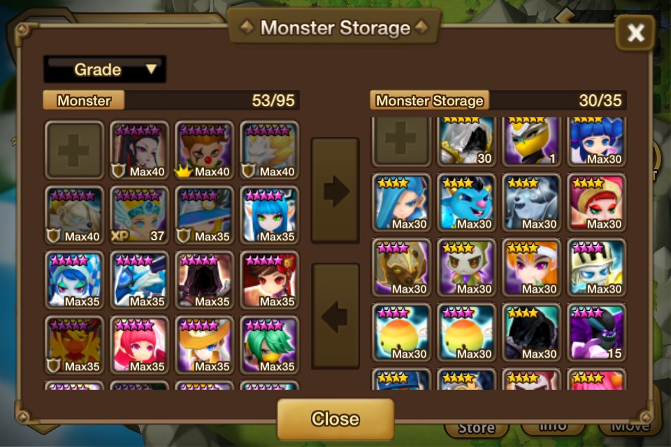 39069NM.jpg
