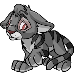 kougra_grey_baby.gif