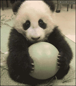 x1iAjZQ.gif