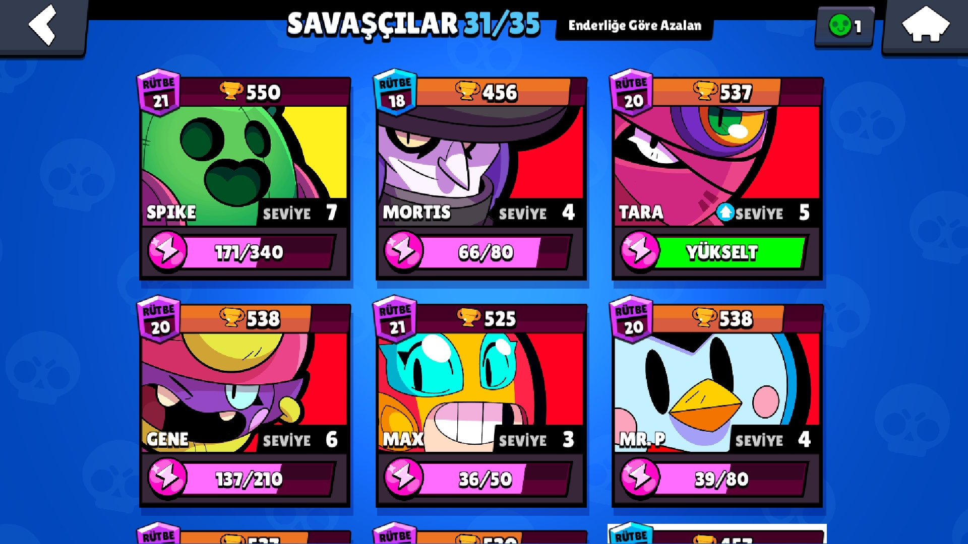 1449309019.jpg