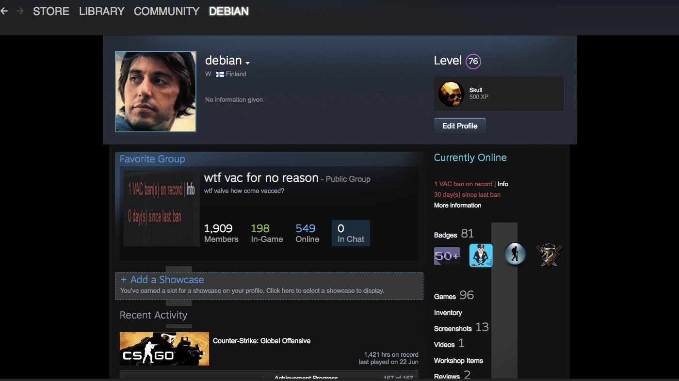 Selling - Steam account with lvl 76 - vac on csgo - has games such as pubg,  rust and bo2 | EpicNPC Marketplace