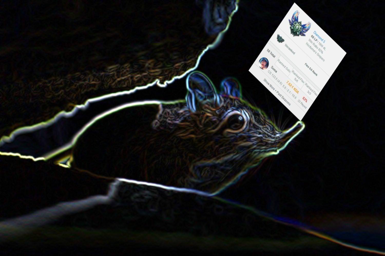 Ckr2Jmk.jpg