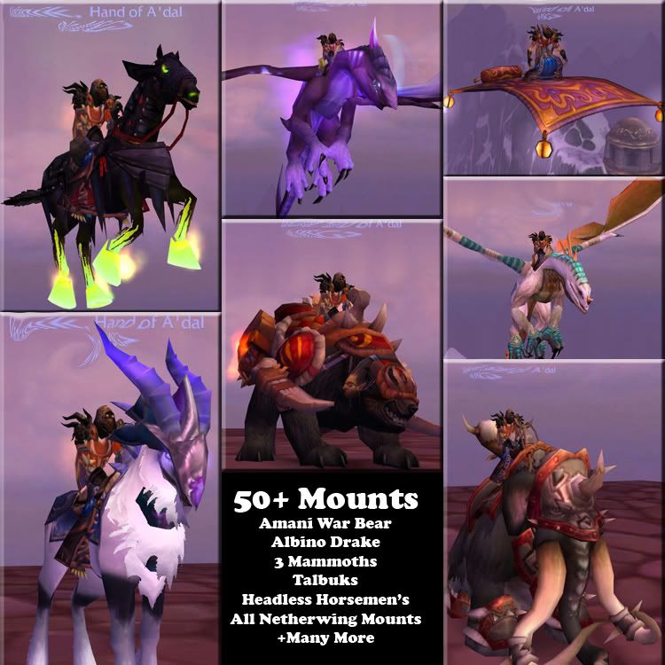 Montage.jpg