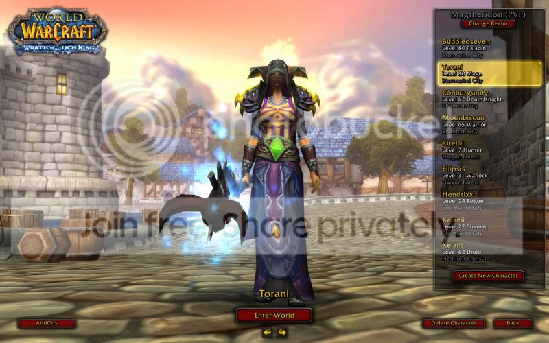 WoWScrnShot_060510_211630.jpg