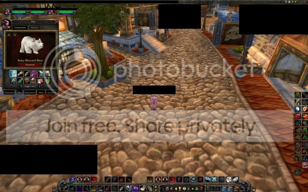 WoWScrnShot_082709_181623.jpg