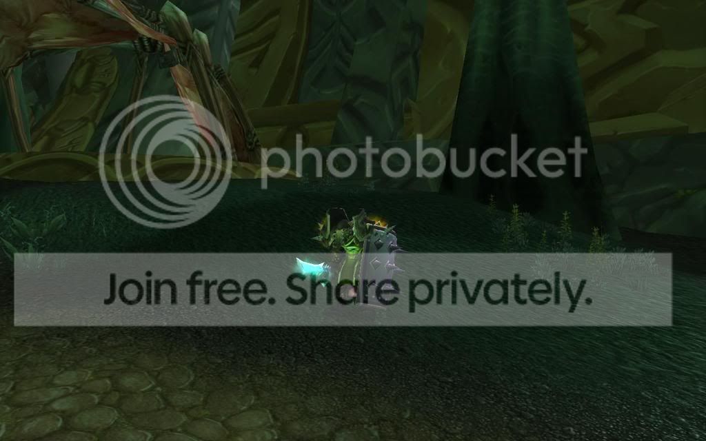 T6WarriorSS1.jpg