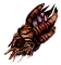 apeximplant.png
