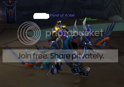 pally.jpg