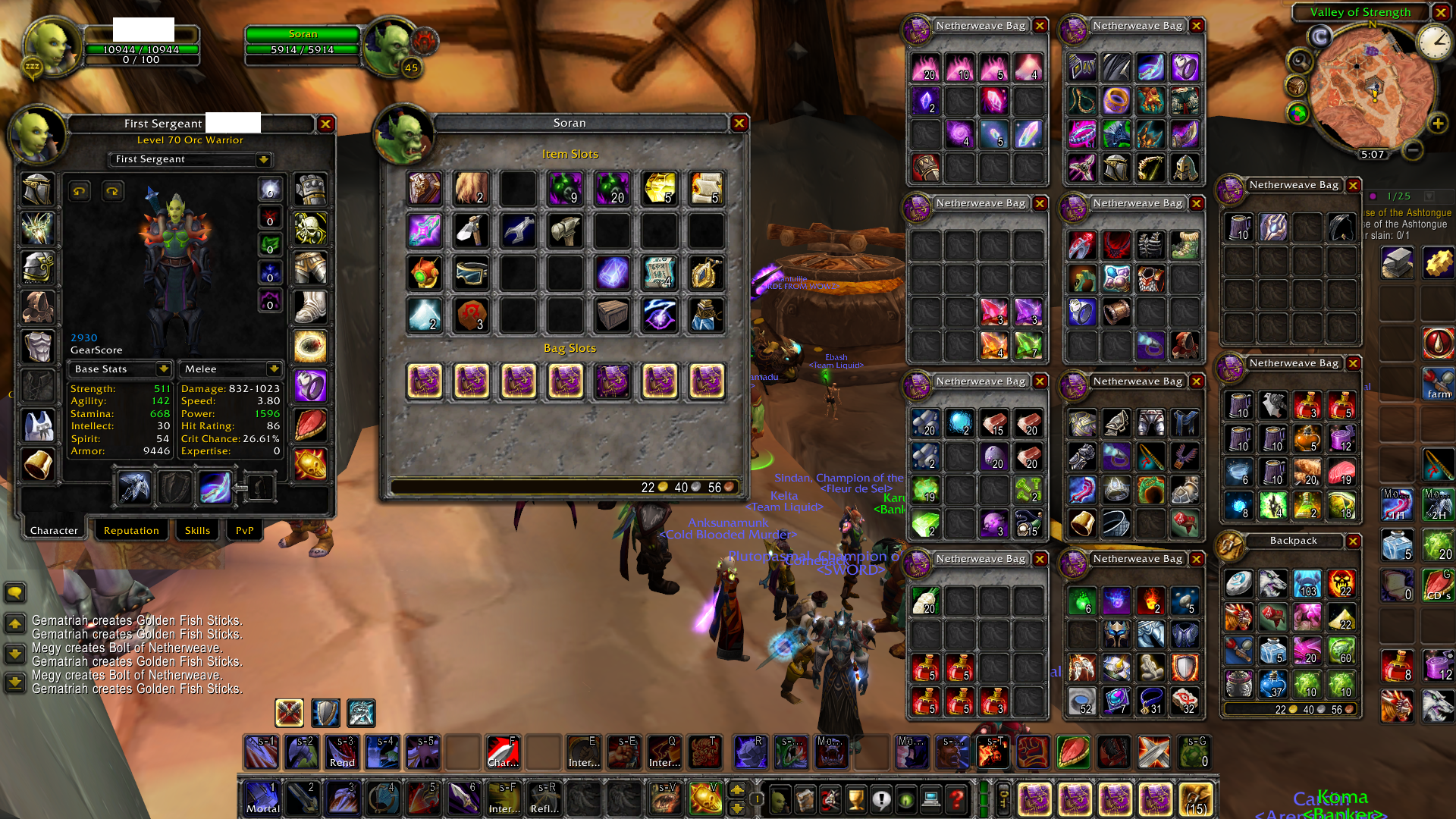 Sold Endless Tbc Orc Warrior Pvp Tank 100 Epicnpc Marketplace