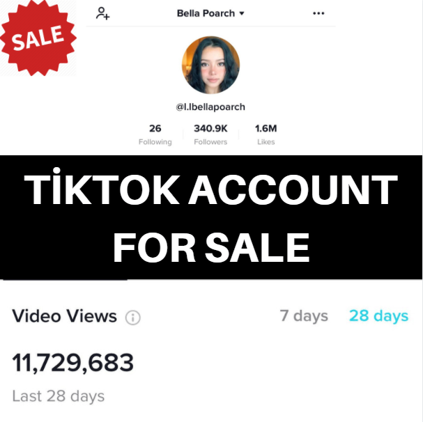 Tiktok Account for Sale with 340K Followers EpicNPC Marketplace