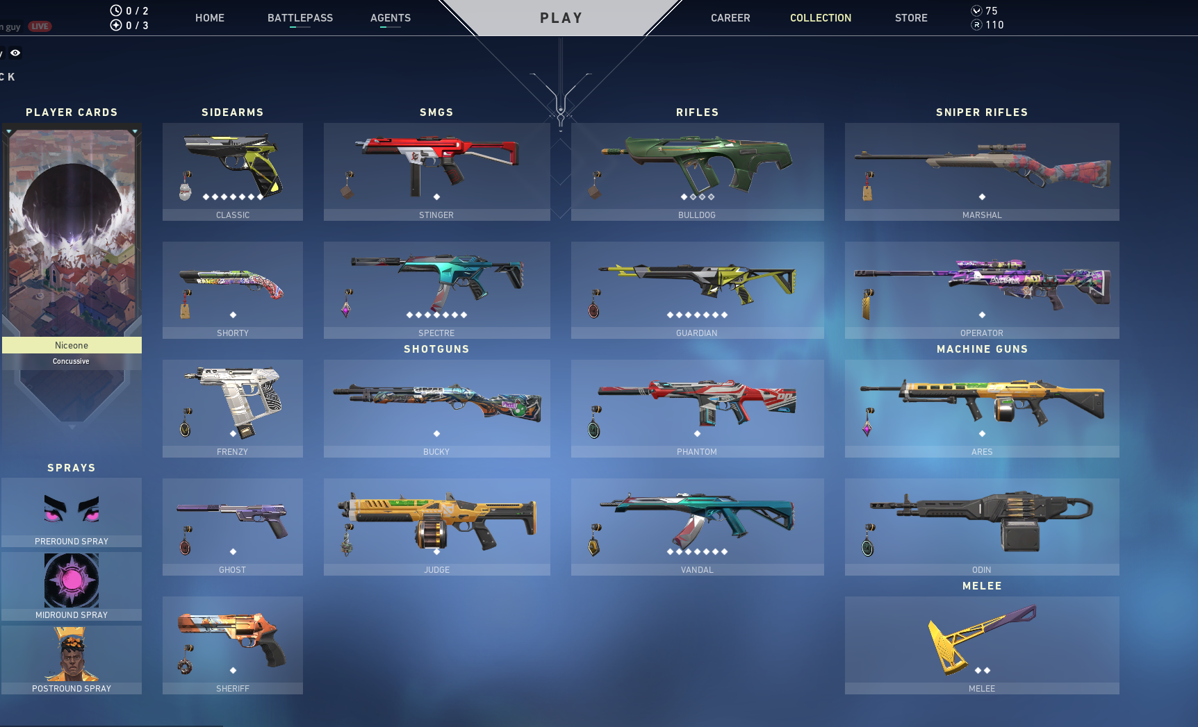 Valorant Skin Account For Sale