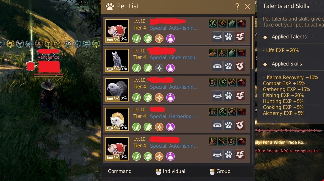 BDO Pets.jpg