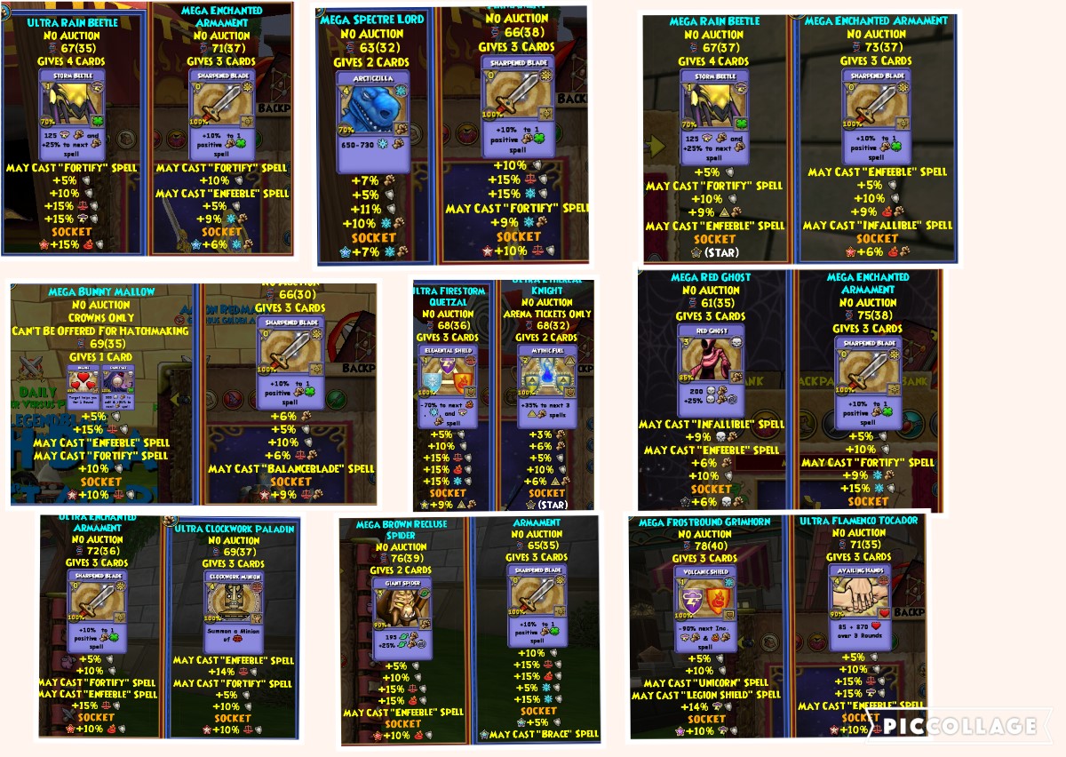High End Wizard101 Account 6 wizards + account with a 100 storm