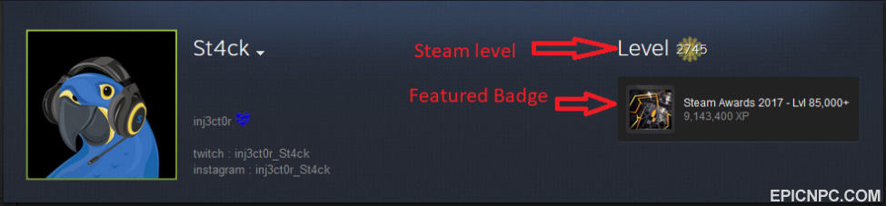 Steam How To Make A Cool Steam Profile (Full Guide) EpicNPC Marketplace