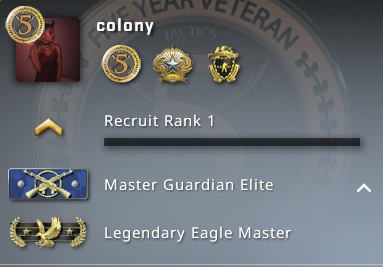 Selling Csgo Account 14 Years 34 Level Prime Acc 5 Year Badge Epicnpc Marketplace Selling Csgo Account 14 Years 34 Level Prime Acc 5 Year Badge Epicnpc Marketplace