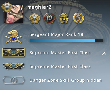 Buying Prime Cs Go Account With Gold Operation Medals Epicnpc Marketplace